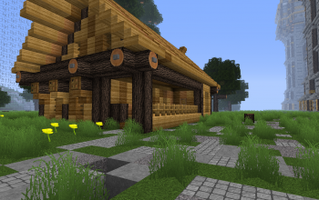 rustic home