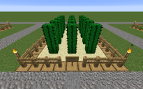 Farm Cactus