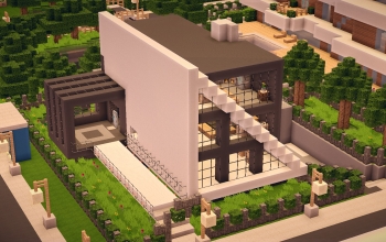 Modern House #1