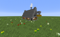 Medieval House