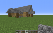 default survival house