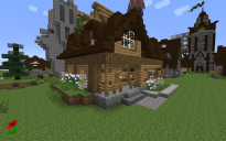 rich village house