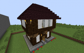 small medieval house