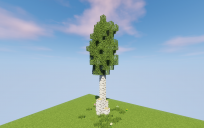 Birch Tree(Custom)