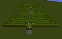 Stanley's Hedge Maze