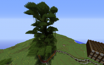 Big Tree