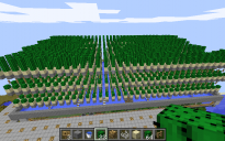 Cactus Farm
