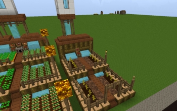 Pumpkin & Melon Farm