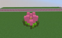 Pink Tulip