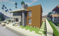 Modern House #39