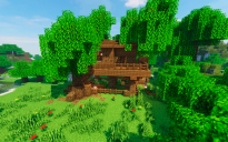 A house on a tree (Map + Scheme)