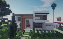 Modern House #43