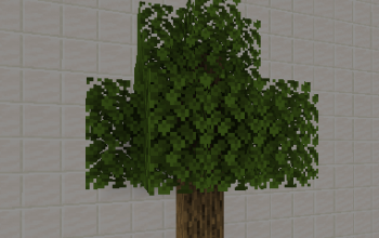 Vanilla tree