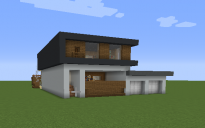 Modern House with library