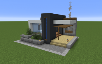 Small modern house