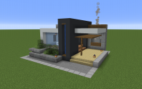 Small modern house