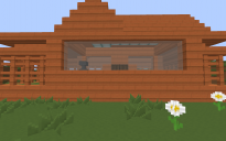 Small Survival House