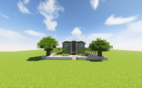 Modern House #2