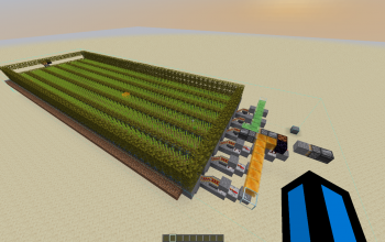 Best sugar cane farm