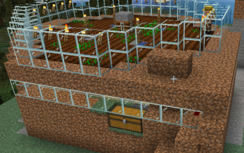 Wheat / Carrot Farm