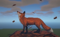 Organic Fox