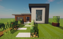 Modern House #1