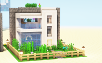 Small Modern House