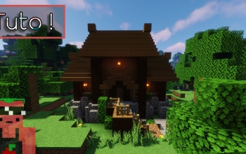 House Medieval in wood