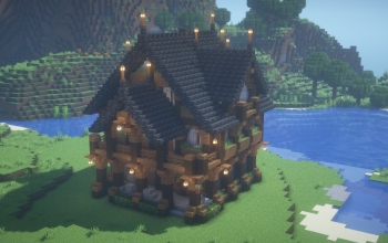 Rustic Build 2