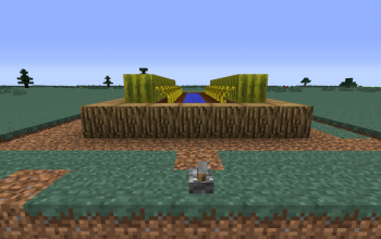 Automatic Pumpkin/Melon Farm