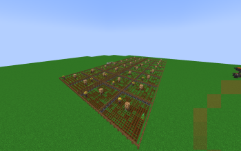 mega farm of carot and potato