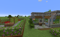 Minecrafty Town Veggie Plot and Well