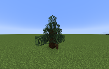 Custom Spruce Tree Baby