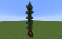 Custom Spruce Tree Tall