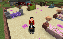 How To Build A Minecraft Show Jumping Arena and Impress Your Friends with Equestrian Events