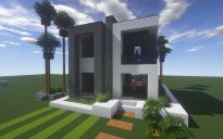 Modern House #163