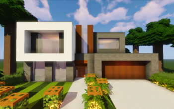 Modern House #169