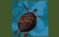 Sea ​​Turtle Pixel Art