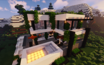 Modern House #176