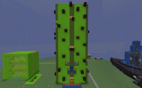 Cactus Farm