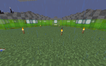 Villagers Food Farm