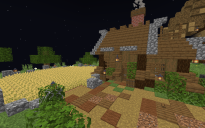 Small Medival house