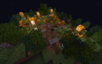 Pumpkin Patch