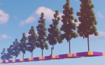 White Pine Trees