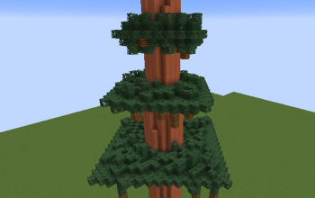 pine tree