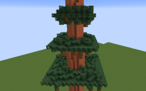 pine tree