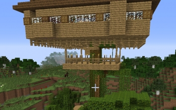 Tree House