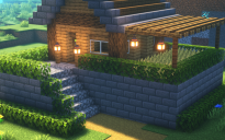 Starter House