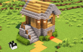 Starter House #9