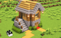 Starter House #9